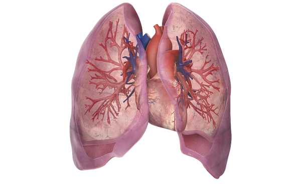 What you need to know about LUNG CANCER