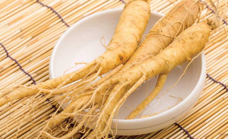 Bite me: I am medicinal ginseng