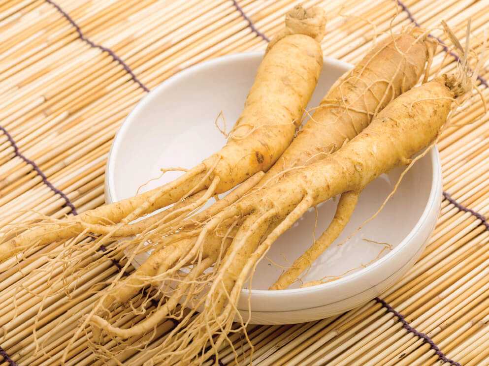 Bite me: I am medicinal ginseng