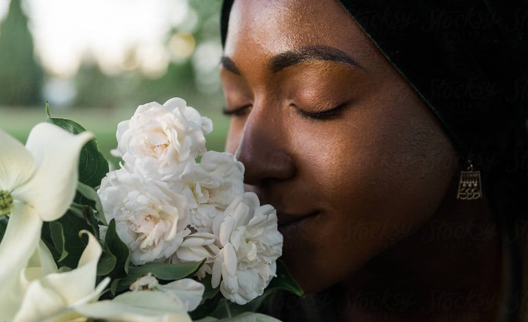 How to make fresh flowers last longer