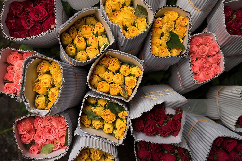Kenya flower sector on its way to a full recovery