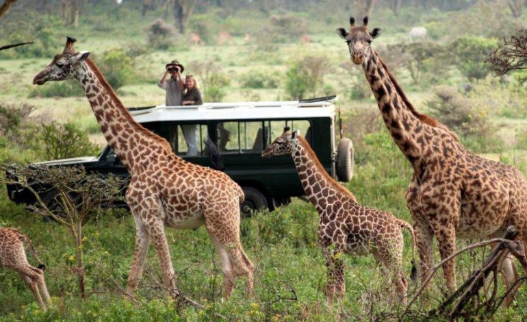 Three tour companies banned from Maasai Mara National Reserve