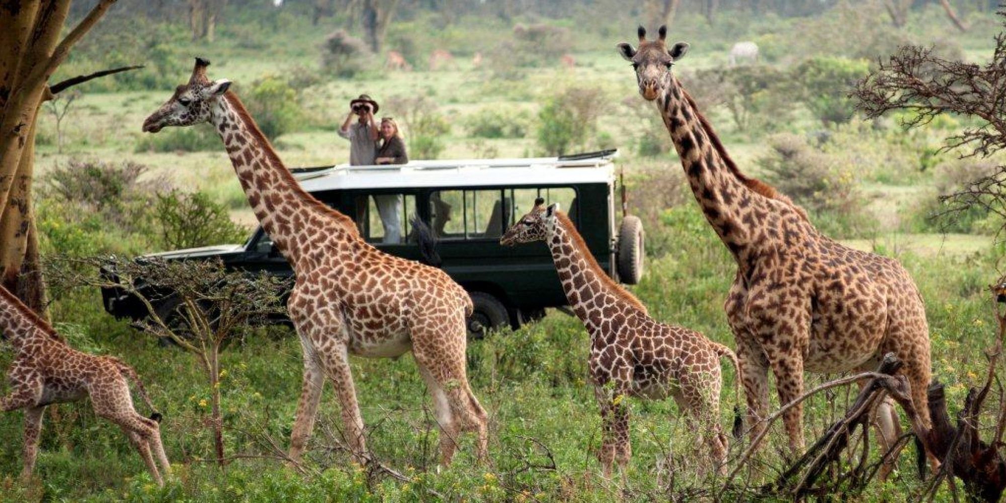 Three tour companies banned from Maasai Mara National Reserve