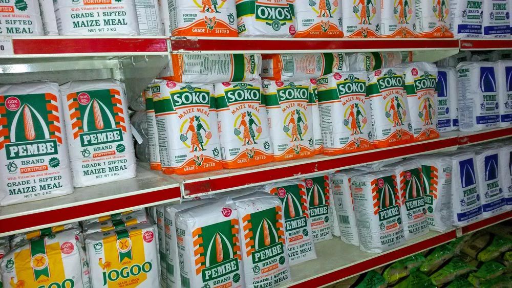 Maize flour prices expected to go up next year