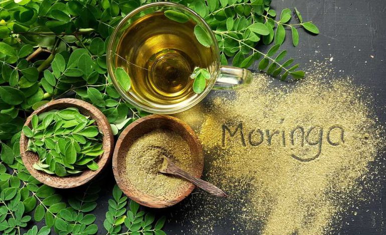 Why moringa is good for you