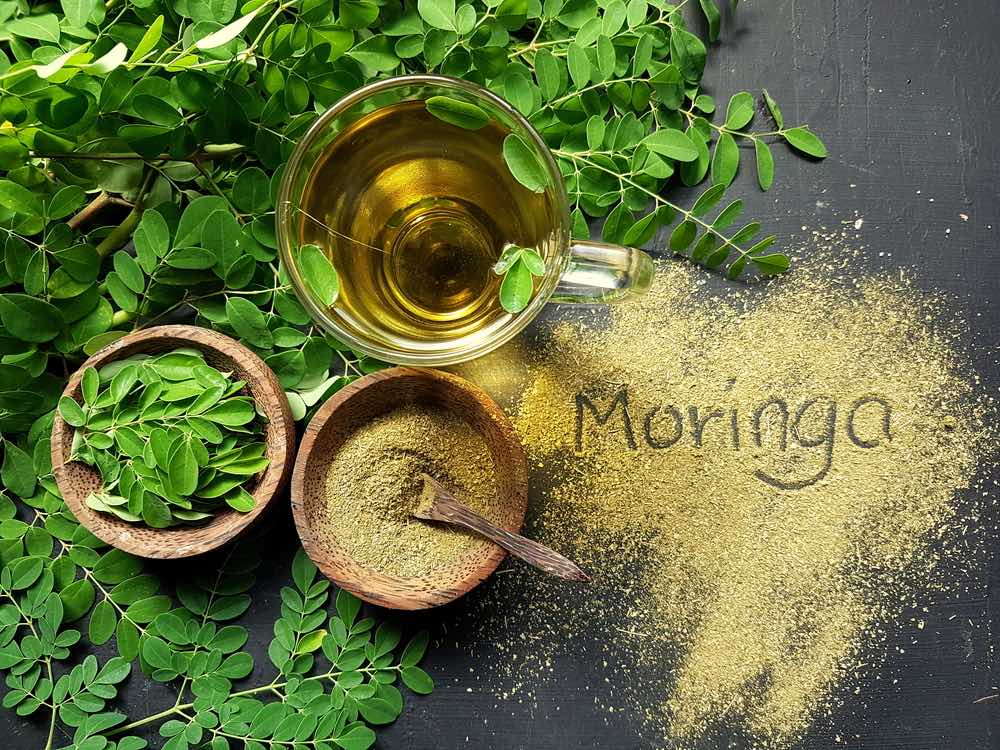 Why moringa is good for you