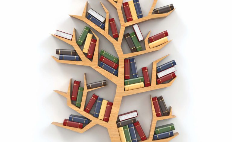 Creative bookshelf ideas for your treasures