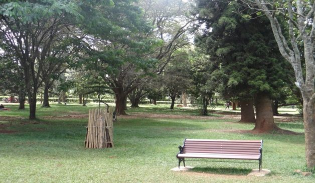 9 green spaces to visit in Nairobi over the weekend