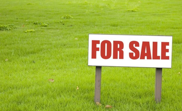 What to consider before you buy land in Kenya