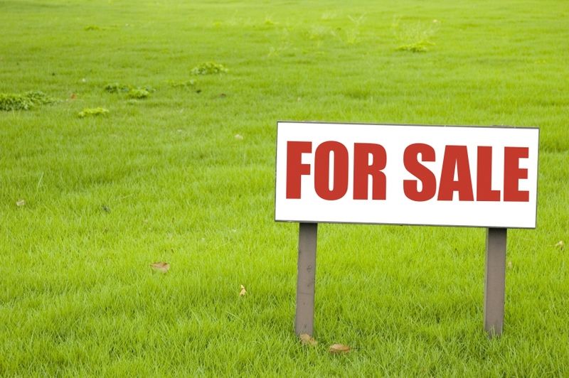 What to consider before you buy land in Kenya