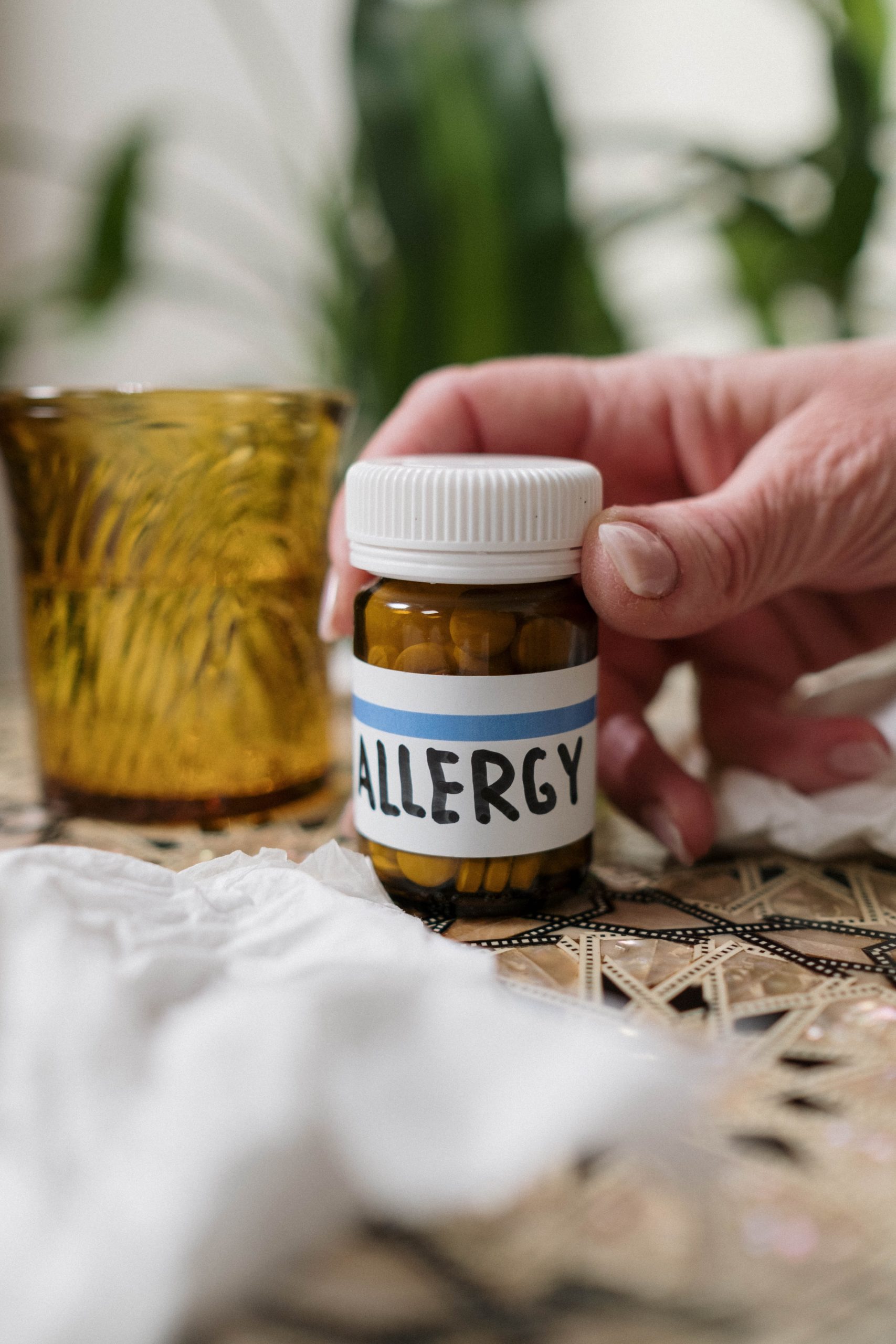 Common types of allergies and ways to treat them