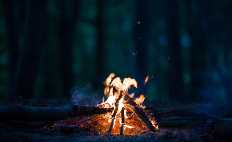 Change Your Home Decor Ideas to a Fresh New Year Look