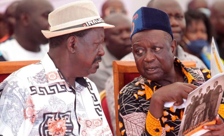 Oburu Odinga Pens Emotional Tribute to Late Brother Raila Odinga on His Heavenly Birthday