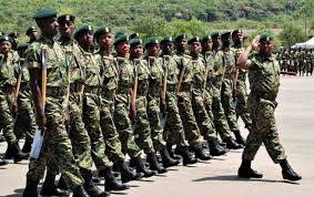 NYS Announces Nationwide Mass Recruitment: 750 Permanent Jobs and 2026 Volunteer Intake Revealed