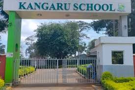 Massive Walkout at Kangaru Schools: Both Institutions Closed Indefinitely